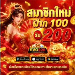 evo 228 แตกง่าย